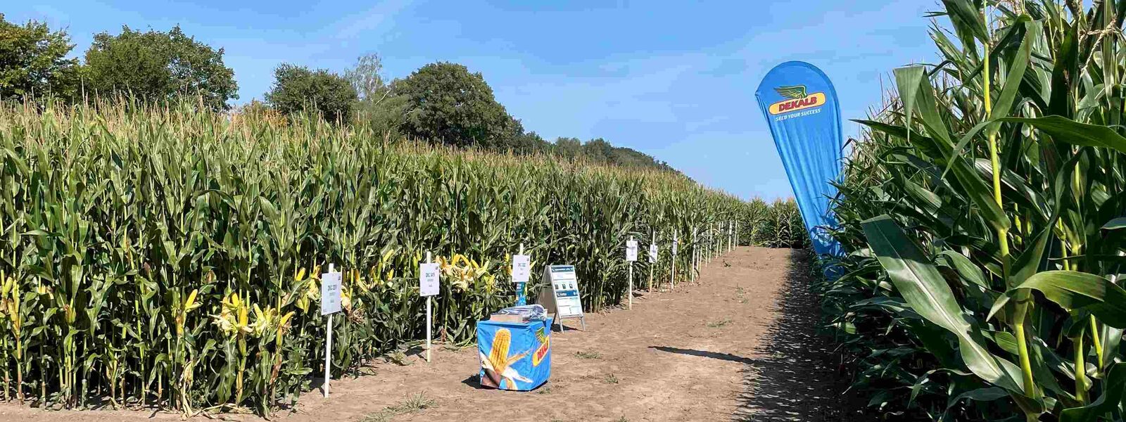 Rückblick Maisfeldtage 2024