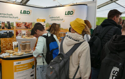 Jobmesse 2025