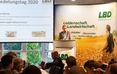 Dammer Veredelungstag 2020