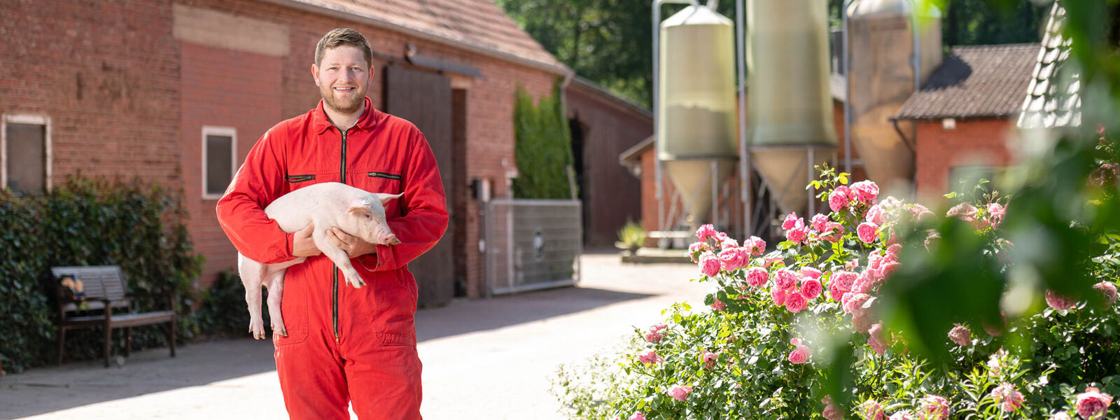 Schweine