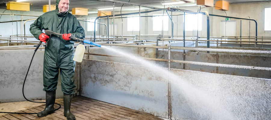 Stallhygiene, das A und O!